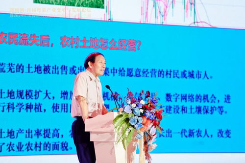 粵菜變革 抓住時(shí)代風(fēng)口，以“新味”走出“圍城”